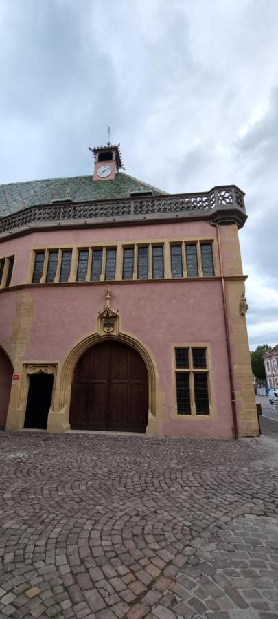 Appartement Grenier A Sel Gentleman Colmar Exterior photo